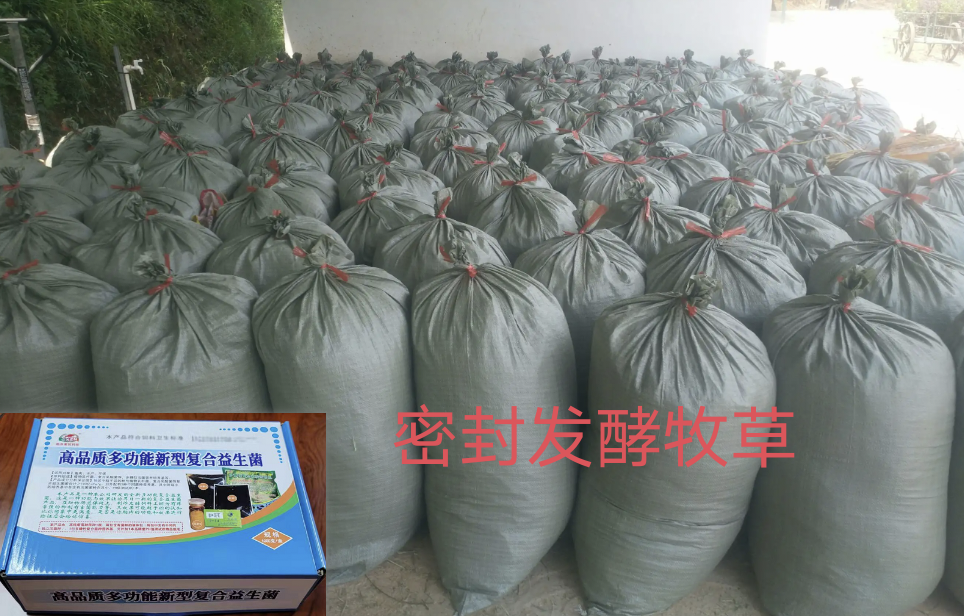 发酵池密封示意图