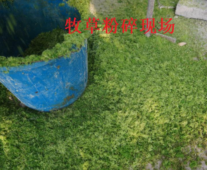 发酵后的牧草