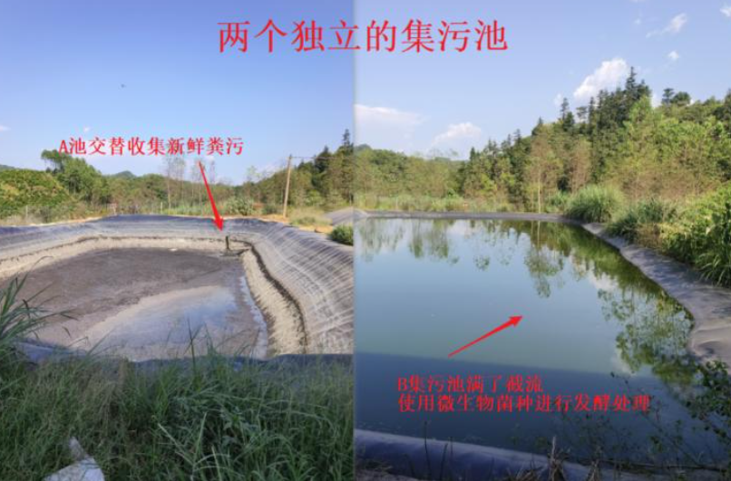 粪污处理
