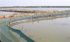 螃蟹养殖基地工作人员必须掌握的关键问题