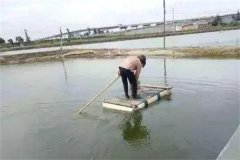 对虾对温度、盐度的适应范围与驯化方法详解