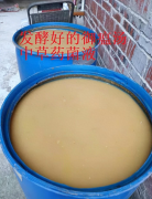2024年如何有效防控非瘟养好猪？钦州灵山县马老板分享养猪经验
