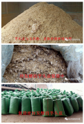 广西荔浦市杨老板用微生物发酵芋头皮养猪 解决养猪人成本难题 猪肉养殖新方法