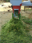 散养猪场如何利用发酵牧草降低成本并提升抗风险能力
