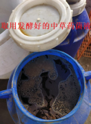 非洲猪瘟防控新方案 贵港养殖场发酵中草药技术助力重生