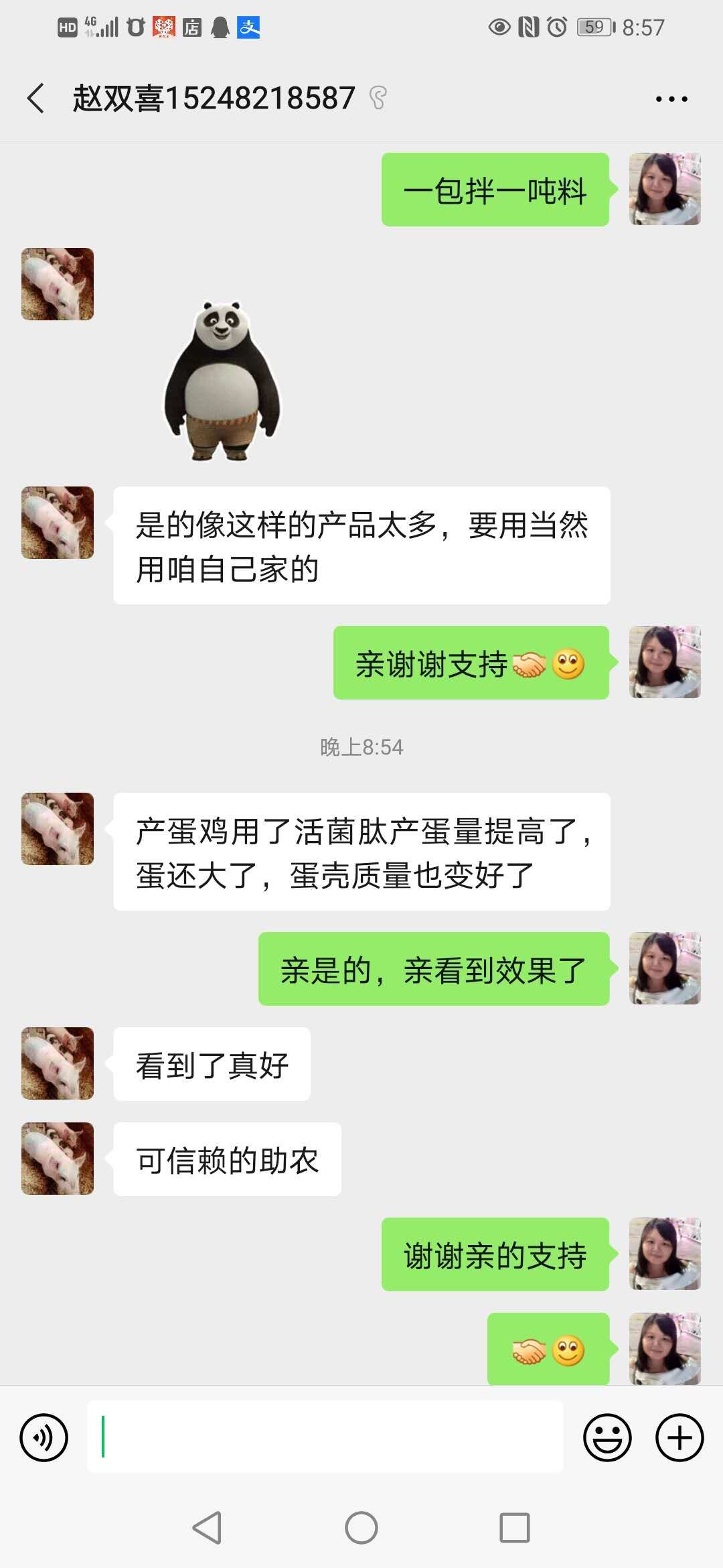 蛋鸡增产效果