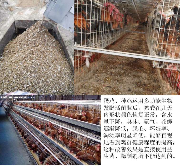 产品效果展示