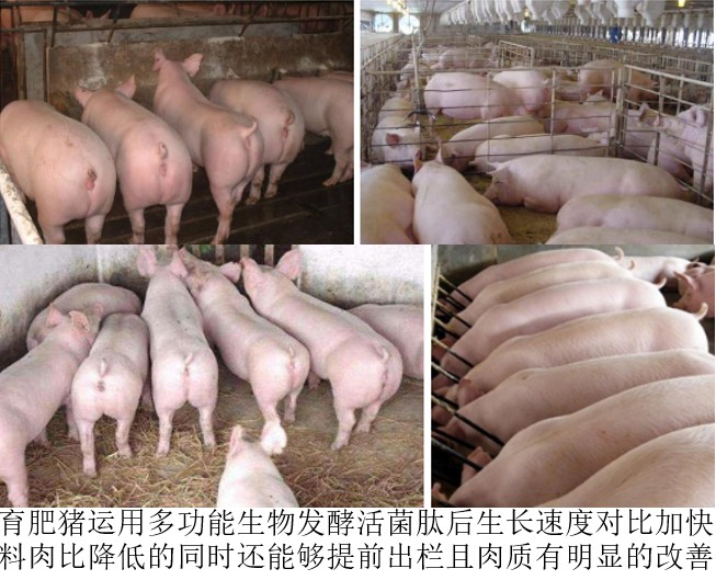 助农公司合作案例