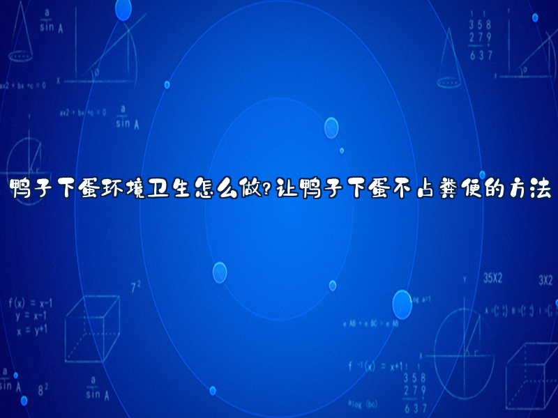 鸭舍清洁与鸭子下蛋卫生