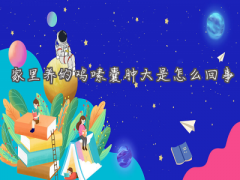 农村养鸡常见问题解析：家里养的鸡嗉囊肿大原因与