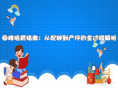 母猪培育指南：选择种猪到产仔全过程解