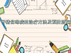 仔猪伤寒病的治疗方法与预防措施详解