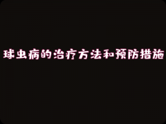 球虫病的治疗方法和预防措施详解