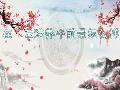连云港养牛前景分析 优质资源市场需求技